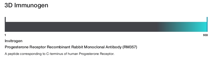 Progesterone Receptor Recombinant Rabbit Monoclonal Antibody (RM357)