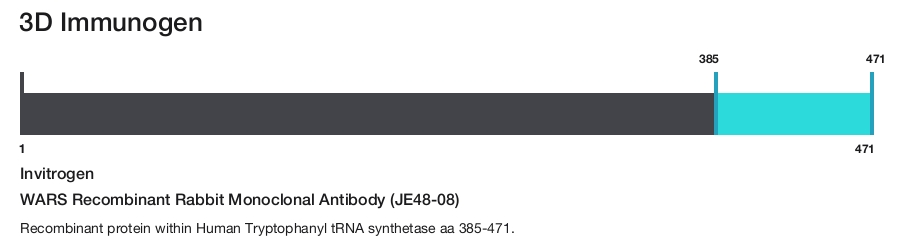 WARS Recombinant Rabbit Monoclonal Antibody (JE48-08)