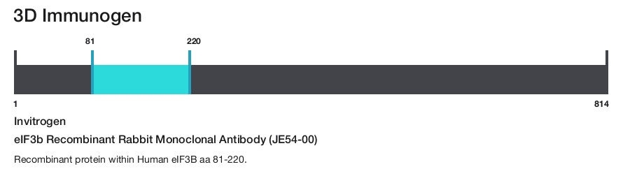 eIF3b Recombinant Rabbit Monoclonal Antibody (JE54-00)