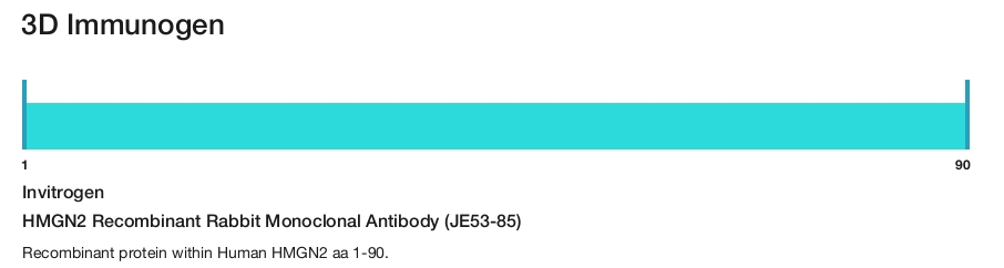HMGN2 Recombinant Rabbit Monoclonal Antibody (JE53-85)
