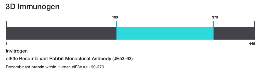 eIF3e Recombinant Rabbit Monoclonal Antibody (JE53-63)