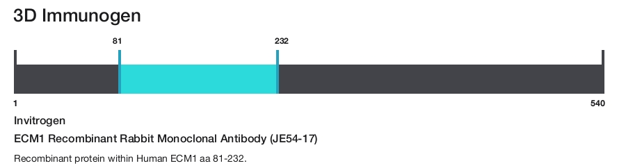 ECM1 Recombinant Rabbit Monoclonal Antibody (JE54-17)