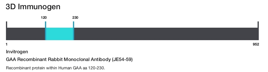 GAA Recombinant Rabbit Monoclonal Antibody (JE54-59)
