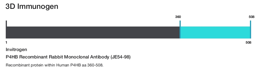 P4HB Recombinant Rabbit Monoclonal Antibody (JE54-98)