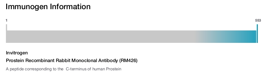 Prostein Recombinant Rabbit Monoclonal Antibody (RM426)