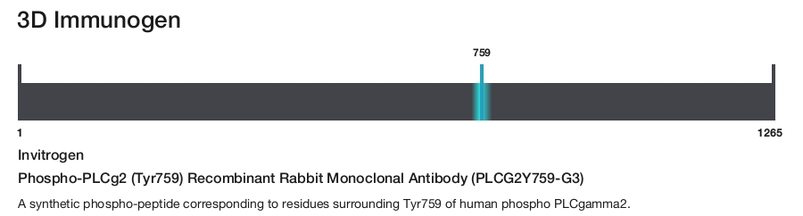 Phospho-PLCg2 (Tyr759) Recombinant Rabbit Monoclonal Antibody (PLCG2Y759-G3)