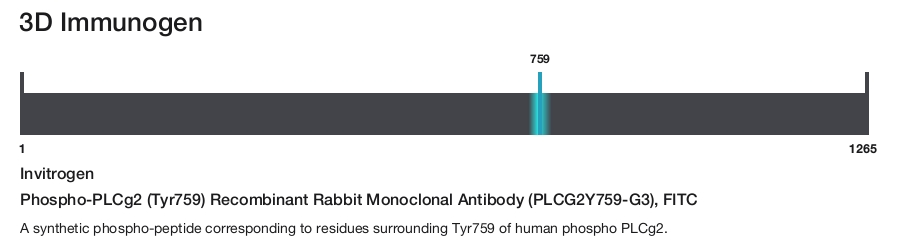 Phospho-PLCg2 (Tyr759) Recombinant Rabbit Monoclonal Antibody (PLCG2Y759-G3), FITC