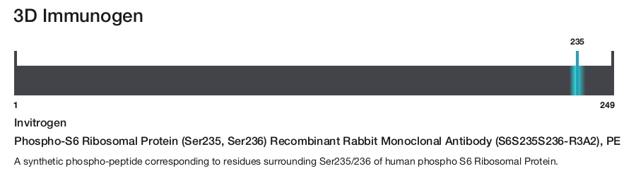 Phospho-S6 Ribosomal Protein (Ser235, Ser236) Recombinant Rabbit Monoclonal Antibody (S6S235S236-R3A2), PE