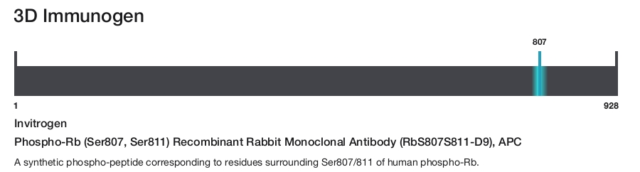 Phospho-Rb (Ser807, Ser811) Recombinant Rabbit Monoclonal Antibody (RbS807S811-D9), APC