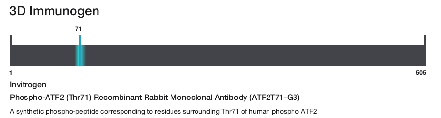 Phospho-ATF2 (Thr71) Recombinant Rabbit Monoclonal Antibody (ATF2T71-G3)