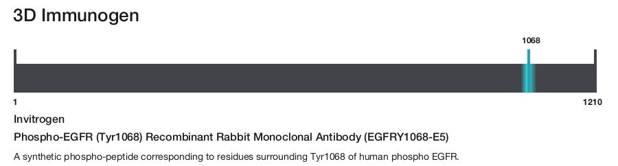 Phospho-EGFR (Tyr1068) Recombinant Rabbit Monoclonal Antibody (EGFRY1068-E5)