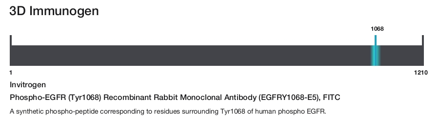 Phospho-EGFR (Tyr1068) Recombinant Rabbit Monoclonal Antibody (EGFRY1068-E5), FITC