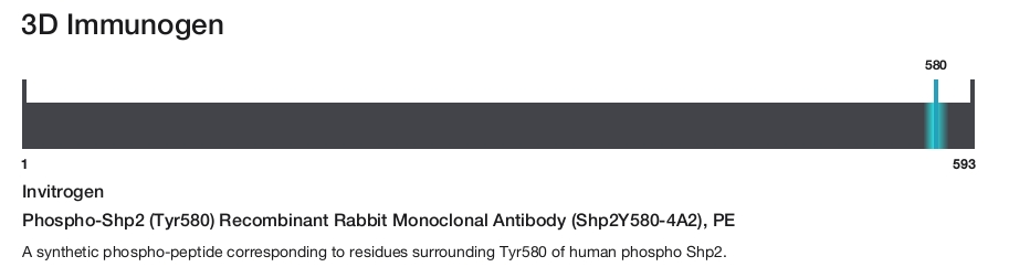 Phospho-Shp2 (Tyr580) Recombinant Rabbit Monoclonal Antibody (Shp2Y580-4A2), PE