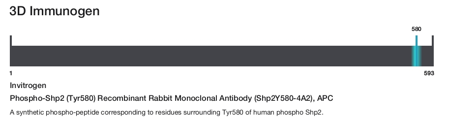 Phospho-Shp2 (Tyr580) Recombinant Rabbit Monoclonal Antibody (Shp2Y580-4A2), APC