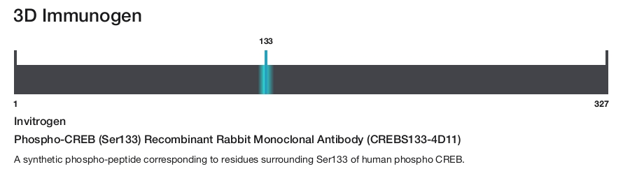 Phospho-CREB (Ser133) Recombinant Rabbit Monoclonal Antibody (CREBS133-4D11)