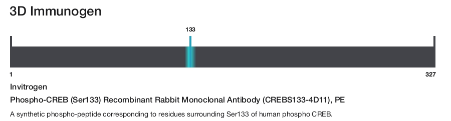 Phospho-CREB (Ser133) Recombinant Rabbit Monoclonal Antibody (CREBS133-4D11), PE