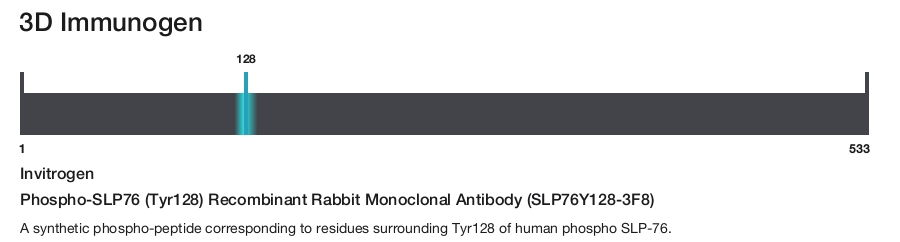 Phospho-SLP76 (Tyr128) Recombinant Rabbit Monoclonal Antibody (SLP76Y128-3F8)
