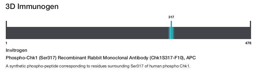 Phospho-Chk1 (Ser317) Recombinant Rabbit Monoclonal Antibody (Chk1S317-F10), APC