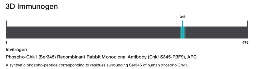 Phospho-Chk1 (Ser345) Recombinant Rabbit Monoclonal Antibody (Chk1S345-R3F9), APC