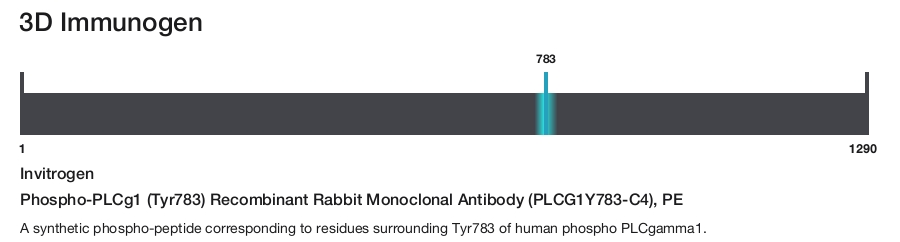 Phospho-PLCg1 (Tyr783) Recombinant Rabbit Monoclonal Antibody (PLCG1Y783-C4), PE