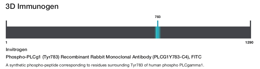 Phospho-PLCg1 (Tyr783) Recombinant Rabbit Monoclonal Antibody (PLCG1Y783-C4), FITC
