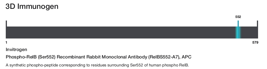 Phospho-RelB (Ser552) Recombinant Rabbit Monoclonal Antibody (RelBS552-A7), APC