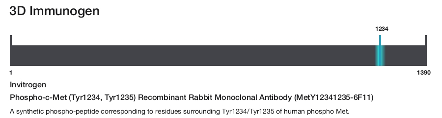 Phospho-c-Met (Tyr1234, Tyr1235) Recombinant Rabbit Monoclonal Antibody (MetY12341235-6F11)