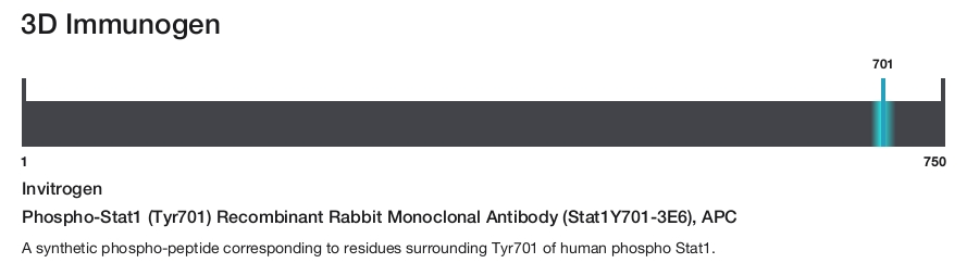 Phospho-Stat1 (Tyr701) Recombinant Rabbit Monoclonal Antibody (Stat1Y701-3E6), APC