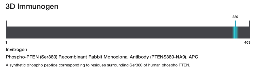 Phospho-PTEN (Ser380) Recombinant Rabbit Monoclonal Antibody (PTENS380-NA9), APC