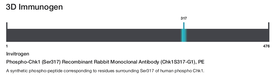 Phospho-Chk1 (Ser317) Recombinant Rabbit Monoclonal Antibody (Chk1S317-G1), PE