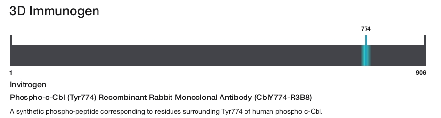 Phospho-c-Cbl (Tyr774) Recombinant Rabbit Monoclonal Antibody (CblY774-R3B8)