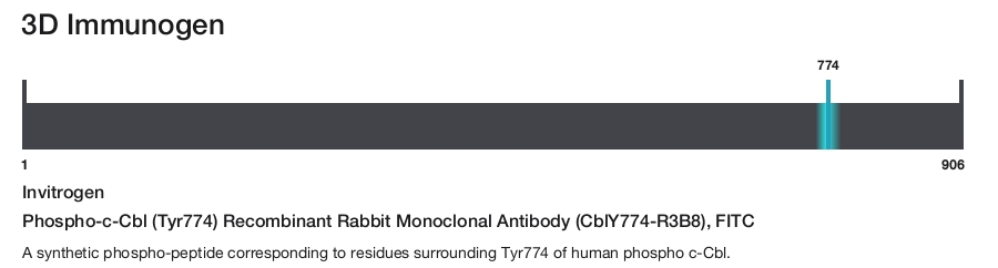 Phospho-c-Cbl (Tyr774) Recombinant Rabbit Monoclonal Antibody (CblY774-R3B8), FITC