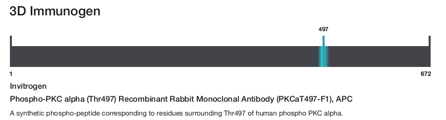 Phospho-PKC alpha (Thr497) Recombinant Rabbit Monoclonal Antibody (PKCaT497-F1), APC