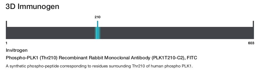 Phospho-PLK1 (Thr210) Recombinant Rabbit Monoclonal Antibody (PLK1T210-C2), FITC