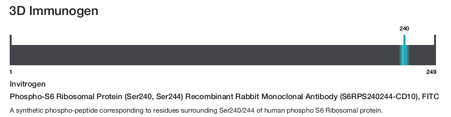Phospho-S6 Ribosomal Protein (Ser240, Ser244) Recombinant Rabbit Monoclonal Antibody (S6RPS240244-CD10), FITC