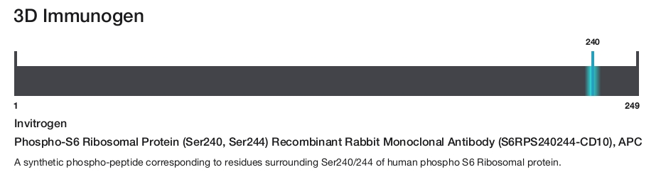 Phospho-S6 Ribosomal Protein (Ser240, Ser244) Recombinant Rabbit Monoclonal Antibody (S6RPS240244-CD10), APC