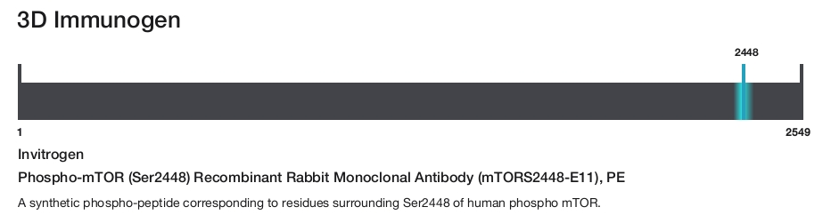 Phospho-mTOR (Ser2448) Recombinant Rabbit Monoclonal Antibody (mTORS2448-E11), PE