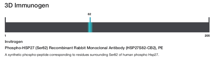 Phospho-HSP27 (Ser82) Recombinant Rabbit Monoclonal Antibody (HSP27S82-CB2), PE