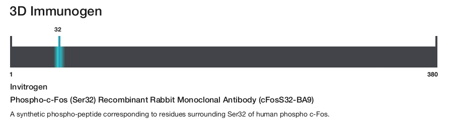 Phospho-c-Fos (Ser32) Recombinant Rabbit Monoclonal Antibody (cFosS32-BA9)