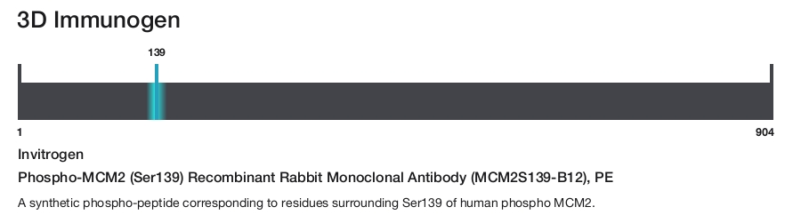 Phospho-MCM2 (Ser139) Recombinant Rabbit Monoclonal Antibody (MCM2S139-B12), PE