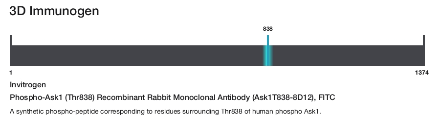 Phospho-Ask1 (Thr838) Recombinant Rabbit Monoclonal Antibody (Ask1T838-8D12), FITC