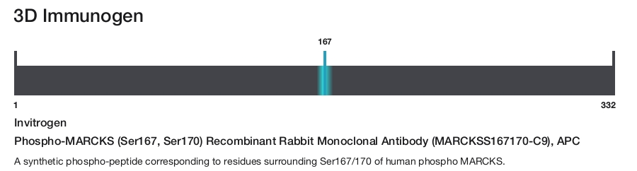 Phospho-MARCKS (Ser167, Ser170) Recombinant Rabbit Monoclonal Antibody (MARCKSS167170-C9), APC