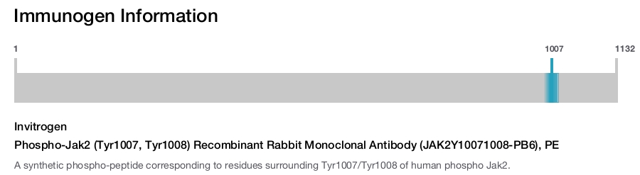 Phospho-Jak2 (Tyr1007, Tyr1008) Recombinant Rabbit Monoclonal Antibody (JAK2Y10071008-PB6), PE