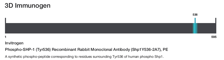 Phospho-SHP-1 (Tyr536) Recombinant Rabbit Monoclonal Antibody (Shp1Y536-2A7), PE
