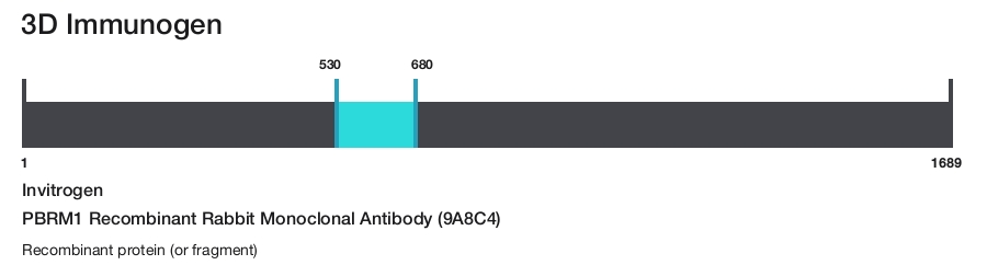 PBRM1 Recombinant Rabbit Monoclonal Antibody (9A8C4)