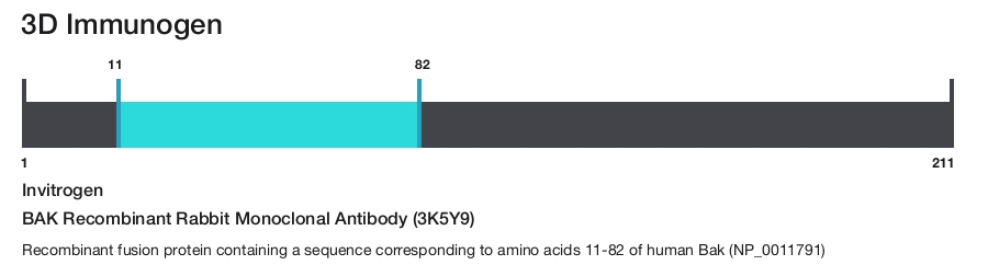 BAK Recombinant Rabbit Monoclonal Antibody (3K5Y9)