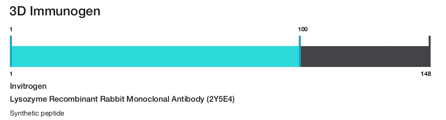Lysozyme Recombinant Rabbit Monoclonal Antibody (2Y5E4)