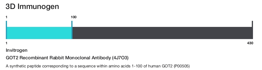 GOT2 Recombinant Rabbit Monoclonal Antibody (4J7O3)