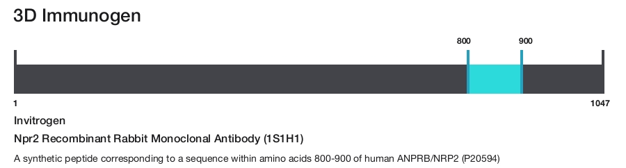 Npr2 Recombinant Rabbit Monoclonal Antibody (1S1H1)