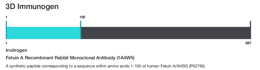 Fetuin A Recombinant Rabbit Monoclonal Antibody (1A4W5)